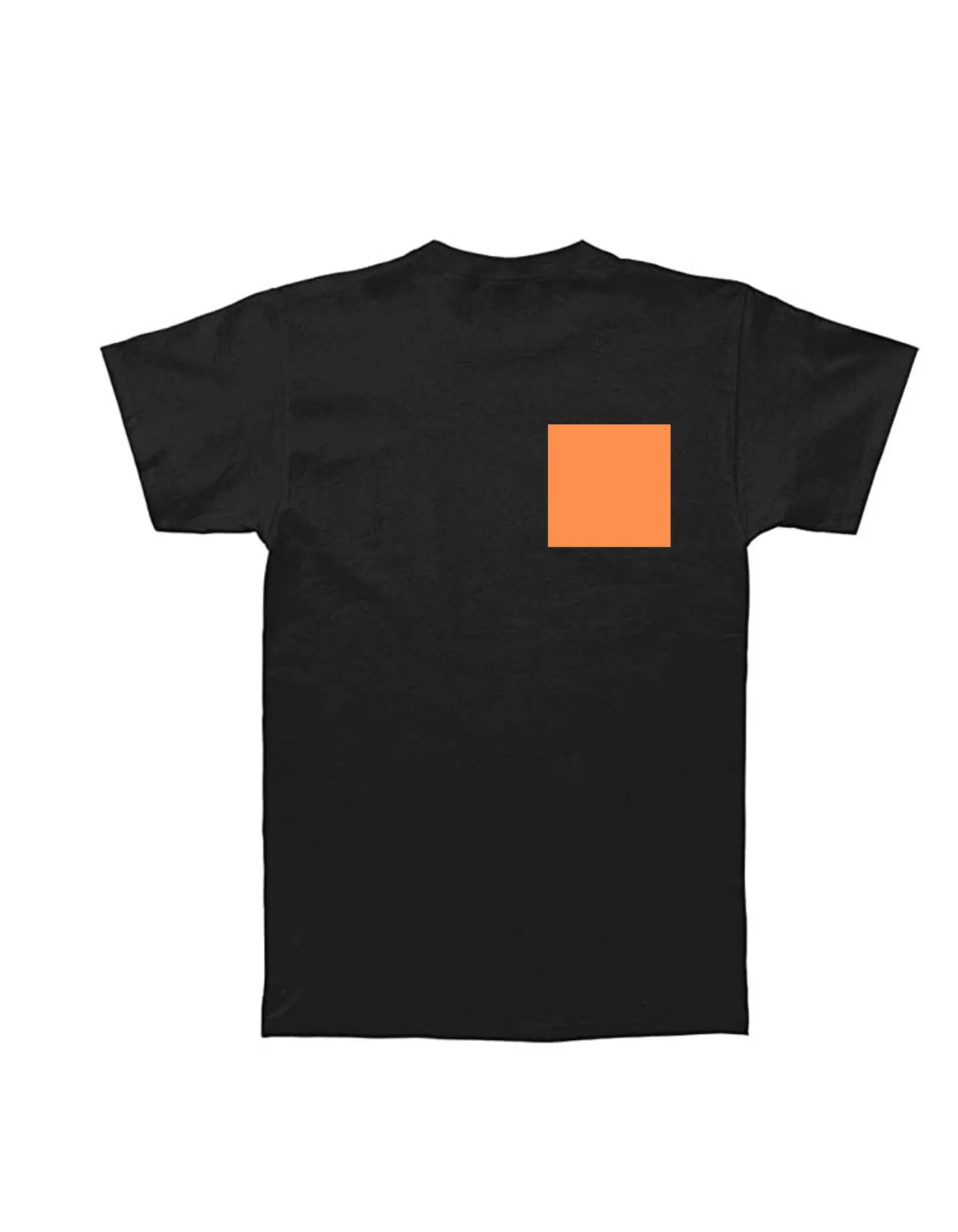 The Blue Ring Octopus