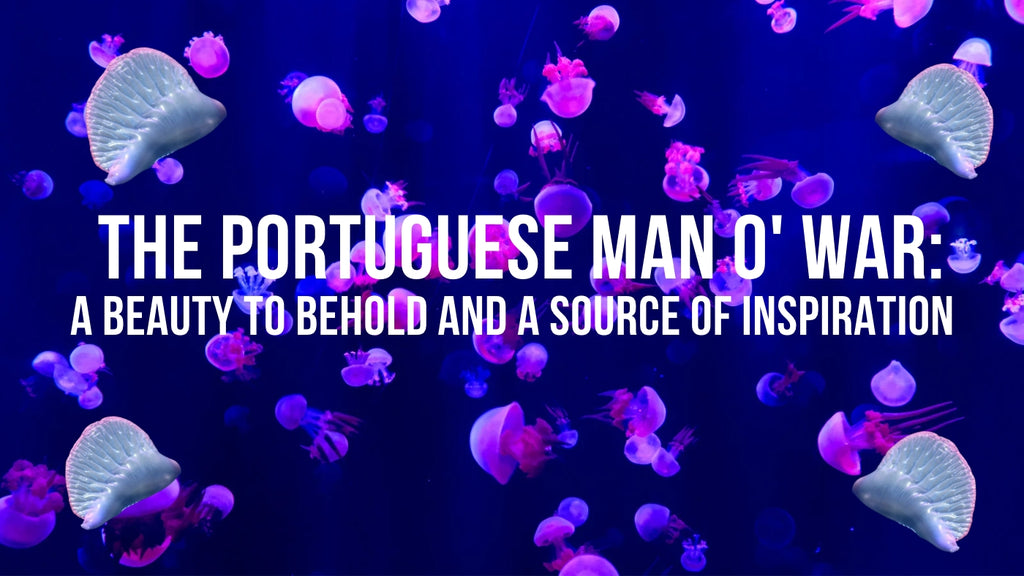 The Portuguese Man o' War: A Beauty to Behold and a Source of Inspiration